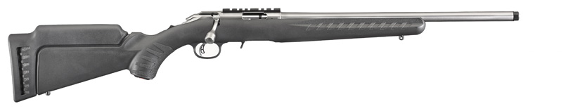Ruger American Rimfire Stainless