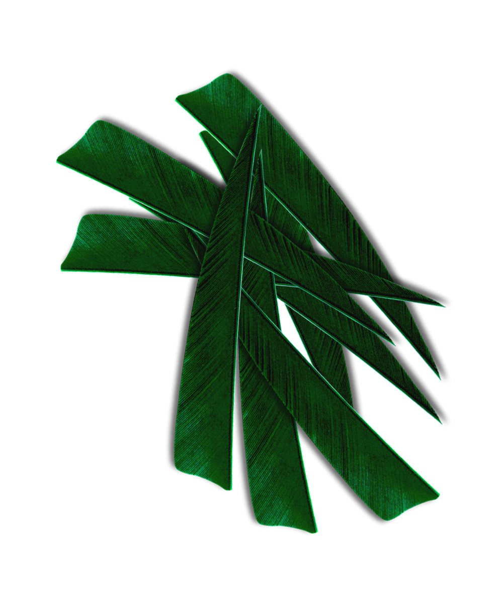 Naturfedern RW 4" - einfärbig shield grün
